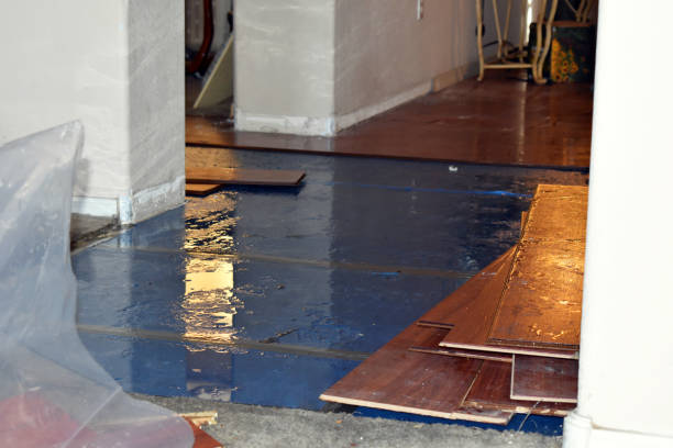 Professional Basement Flood Cleanup technician working in Huntsville, MO